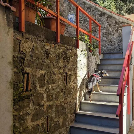 Il Pollaio Di Pilade